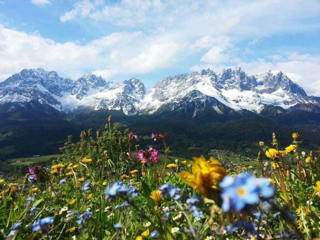 Luxuschalet Happy Home Tyrol 엘마우 외부 사진